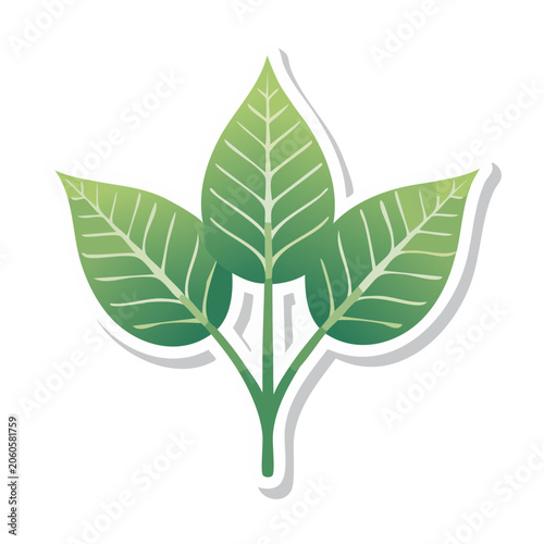 Three Green Leaves Vector Icon