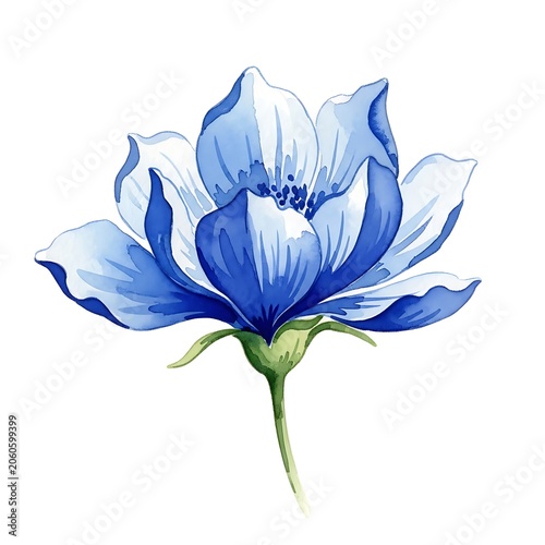 Close-up of a blooming blue iris flower in sunlight.