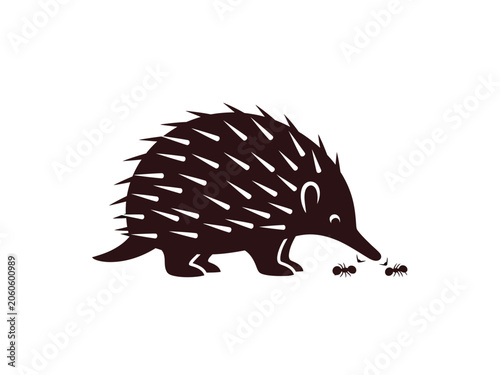 Echidna silhouette illustration with ants, showcasing its unique features and behavior in nature.