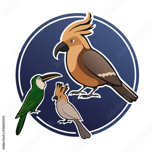 Cartoon illustration of cockatoo toucan and parrot birds