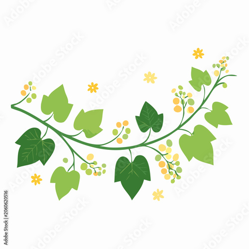 Green Vine with Yellow Flowers and Berries