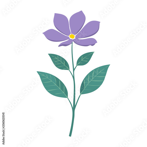 Purple flower with green leaves on a transparent background