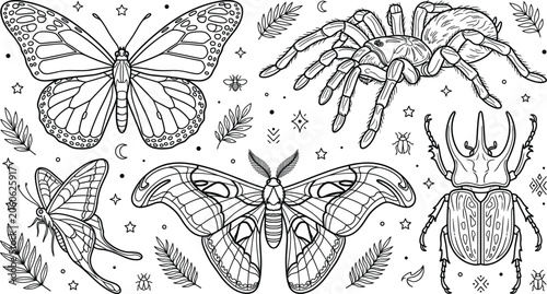 Foto Mystical insects collection set with butterfly tarantula spider moth and rhinoce