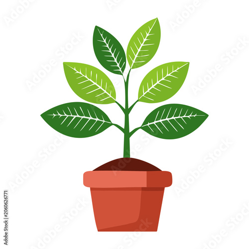 Flat design illustration of a potted plant with green leaves