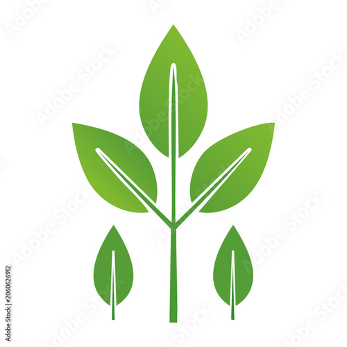 Green leaf icon with stem on transparent background