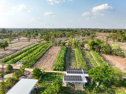 Cuadro en lienzo Sustainable farm with solar panels, cultivated crop fields and tropical countryside landscape