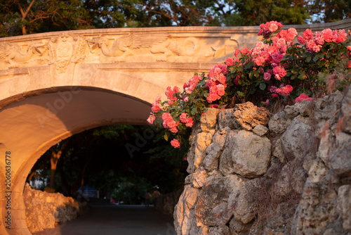 A stone bridge with pink roses blooming on the side. The scene is illuminated by warm sunlight, creating a serene atmosphere in a park setting.