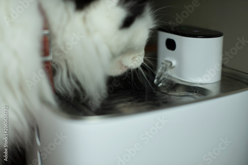 A close-up of a fluffy black and white cat drinking from a modern water fountain. The fountain has a sleek design with a small spout.