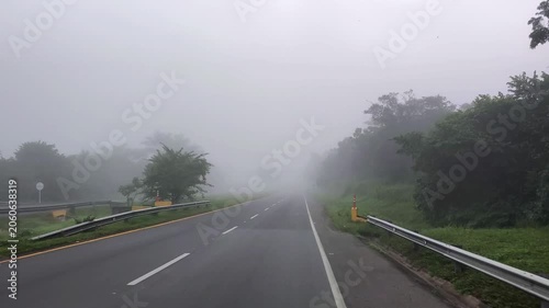 Wide empty highway disappearing into thick fog, surrounded by lush green trees and roadside vegetation. Moody rural road scene with low visibility and calm misty atmosphere.