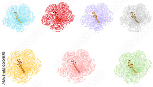 colorful Rose of Sharon flower illustration set