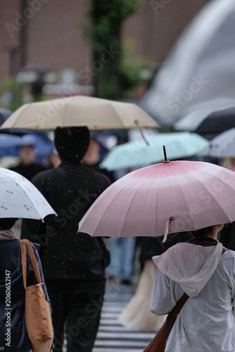 Obraz na plátně Pedestrians navigate a rain‑slicked city crosswalk beneath a sea of umbrellas, as muted hues of soft pink, beige, light green, and blue dot the drizzly urban landscape