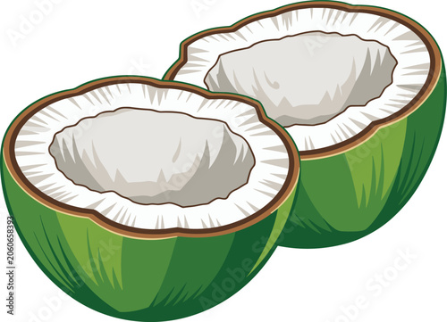 Photos Fresh green coconut halved revealing white pulp vector on white background
