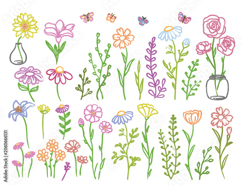 illustration charcoal hand drawn of a flowers and plants isolated on white background