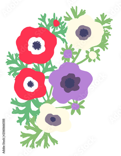 Scandinavian Style Anemone Flower Illustration