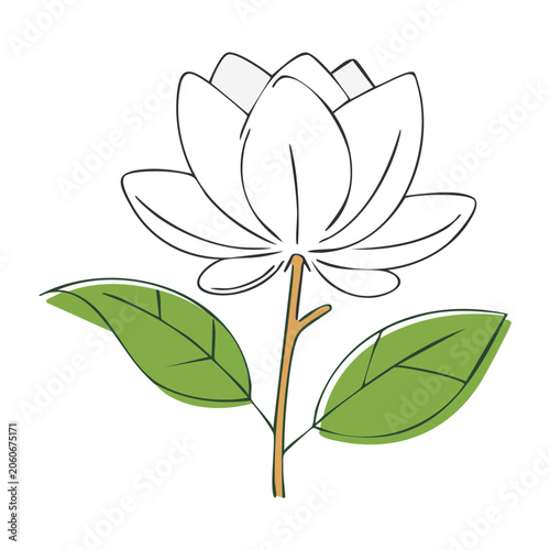 Simple line art illustration of a white flower with green leaves