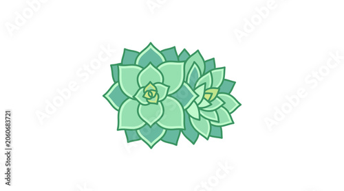 Bild auf Leinwand Green Succulent Plant Illustration Isolated on White Background