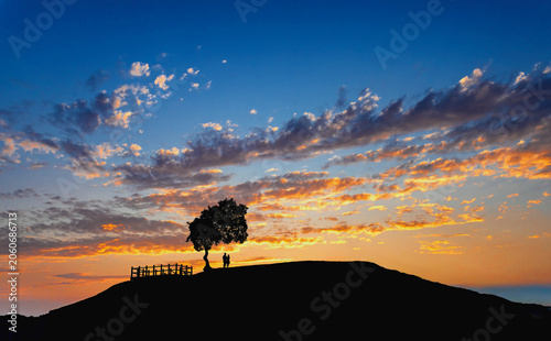 Photos Beautiful silhouette of a lone tree on a hill at sunset in Yeoncheon, South Kore