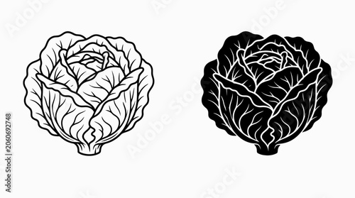 Foto Contrasting cabbage illustrations side by side in illustrations