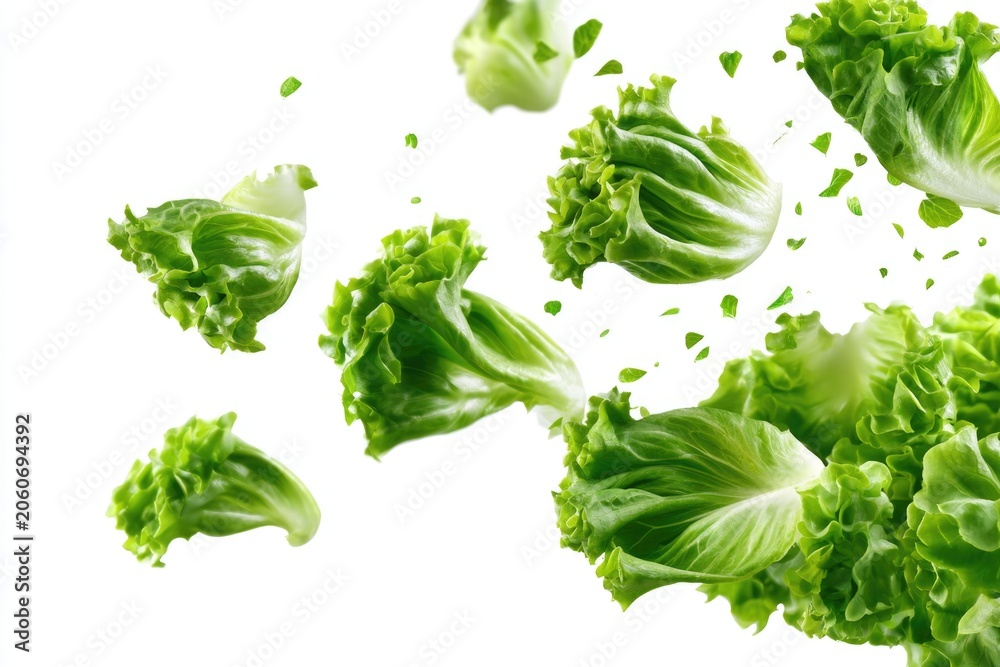 Obraz premium Fresh green lettuce leaves in mid-air on a white background, highlighting their crisp texture and vibrant color.