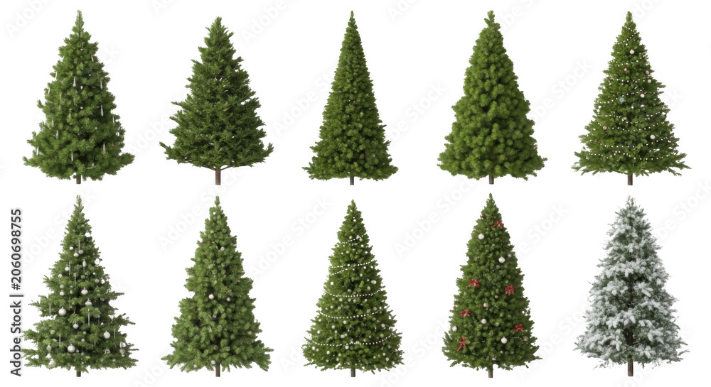 Obraz premium Collection of ten isolated christmas trees featuring various green pine shapes, decorated with white ornaments, red berries, and