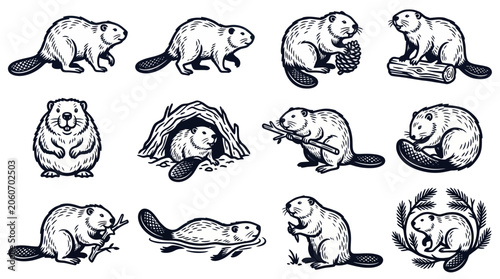 Vászonkép Collection of Diverse Beaver Illustrations in Various Poses.