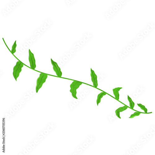 Creeping Vines leaves illustration 