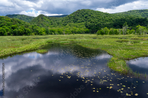 尾瀬の湿原と池と遠景の山