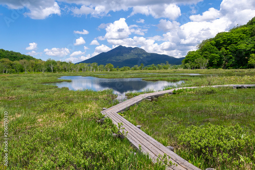 尾瀬の湿原と池と木道と遠景の山