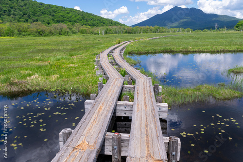 尾瀬の湿原と池と木道と遠景の山