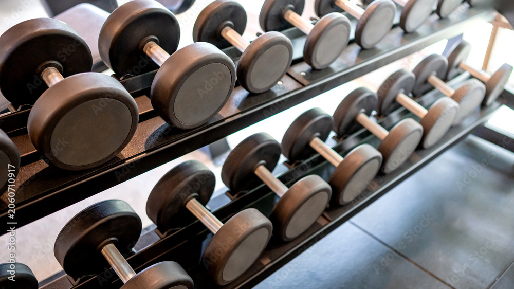 Naklejka premium Set of dumbbells lined up by size on metal gym rack. Sport equipment for weightlifting training in fitness studio. Bodybuilding and strength exercise concept