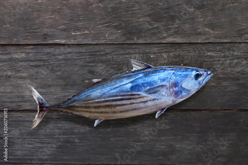 Top view of  skipjack tuna fish lying on the wooden table