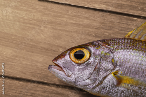 Closeup of fresh threadfin bream fish lying on wooden table