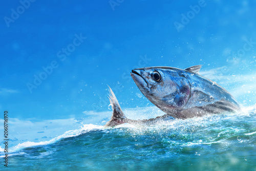 Skipjack tuna fish jumping out of the water with a spalsh under a blue sky
