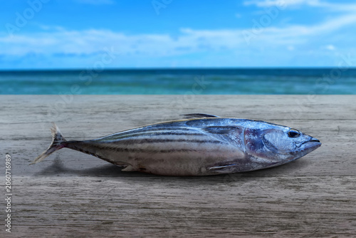 Skipjack tuna fish on a wooden table at the beach