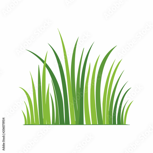 Green Grass Illustration