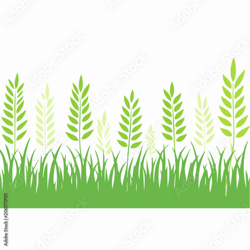 Green Grass and Wheat Stalks Border