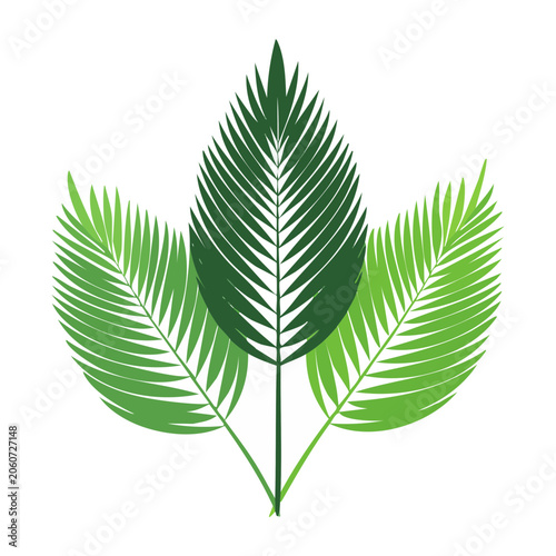 Three Tropical Palm Leaves in Flat Design