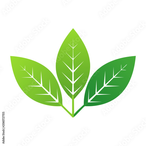 Three Green Leaves Icon with Transparent Background
