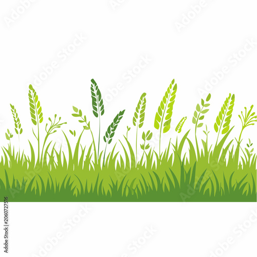 Green Grass and Plants Border Illustration