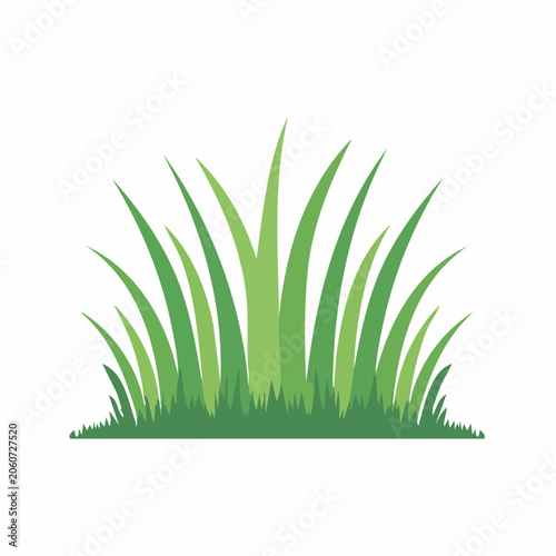 Green Grass Illustration