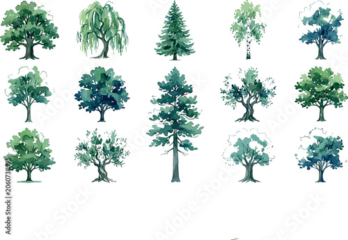 Watercolor Green Forest Tree Collection with Oak Pine Willow Birch and Cypress Botanical Species for Outdoor Landscape Architecture Layouts and Eco Friendly Pattern Designs