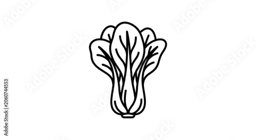 A simple black and white line art illustration of a bok choy vegetable.