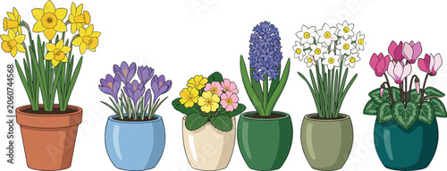 Spring Flowers in Ceramic Pots Collection Vector Illustration with Daffodil Crocus Primrose Hyacinth and Cyclamen for Gardening Nursery and Houseplant Graphic Designs