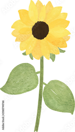 watercolor sunflower decoration cut flower painting