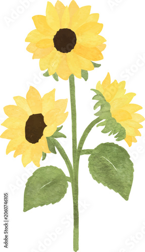 sunflower tree watercolor botanical nature garden