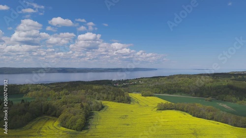 Aerial View of Misty Lakeside Forest and Vibrant Yellow Fields Under Sunny Sky
