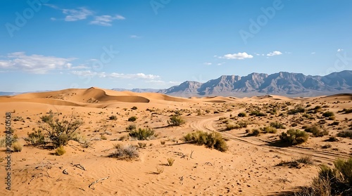Desert landscape with sparse vegetation and mountains in distance under blue sky with scattered clouds