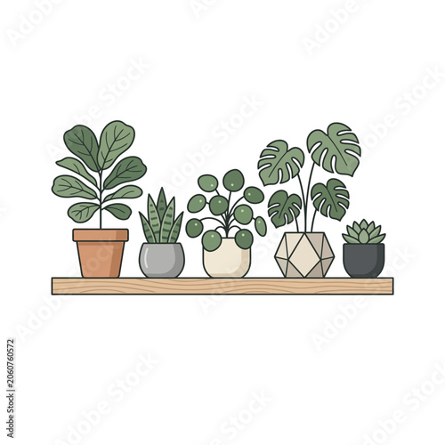 Colorful indoor potted plants on a wooden shelf illustration.