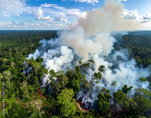 Aerial view of burning forest