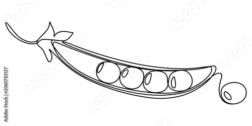Tableau sur toile Continuous line drawing of a green pea pod with organic peas inside Vector, illu